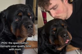 Video: Dog Reacts When 'Spare Human' Interrupts Quality Time With Mom