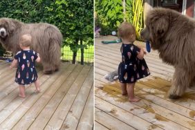 Giant Dog Is Too Gentle as He Plays With Little Girl in Cute Video