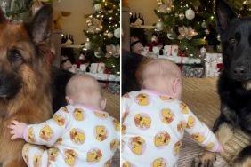 These Dogs Love That the Baby Is Finally Big Enough To Sit & Pat Them