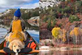 Video: Golden Retriever Camping With Owners Looks Like a Fairytale
