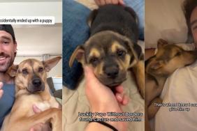 Video Shows How This Puppy's Rescue Was a Pure Twist of Fate