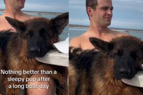 Video: Dog Can Barely Keep Eyes Open After Long Boat Day