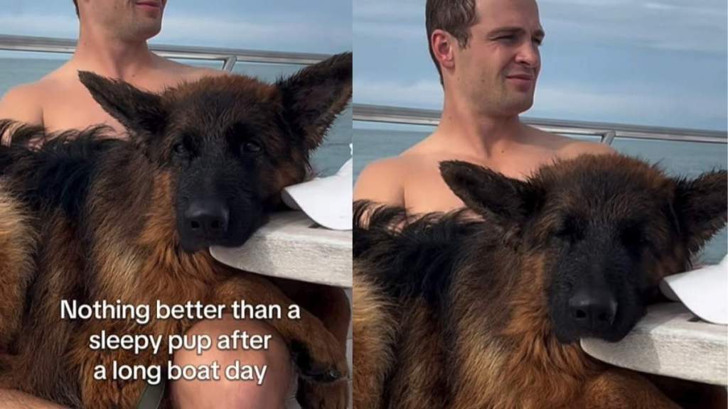 Video: Dog Can Barely Keep Eyes Open After Long Boat Day