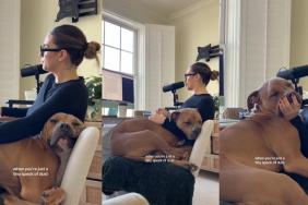 Dog Sits on Owner's Lap Like a 'Tiny Speck of Dust' in Viral Video