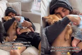 Dachshund Is Dad’s Forever Baby in Wholesome Video