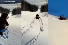Video: Dog in Costume Repeatedly Slides Down Snowy Slopes