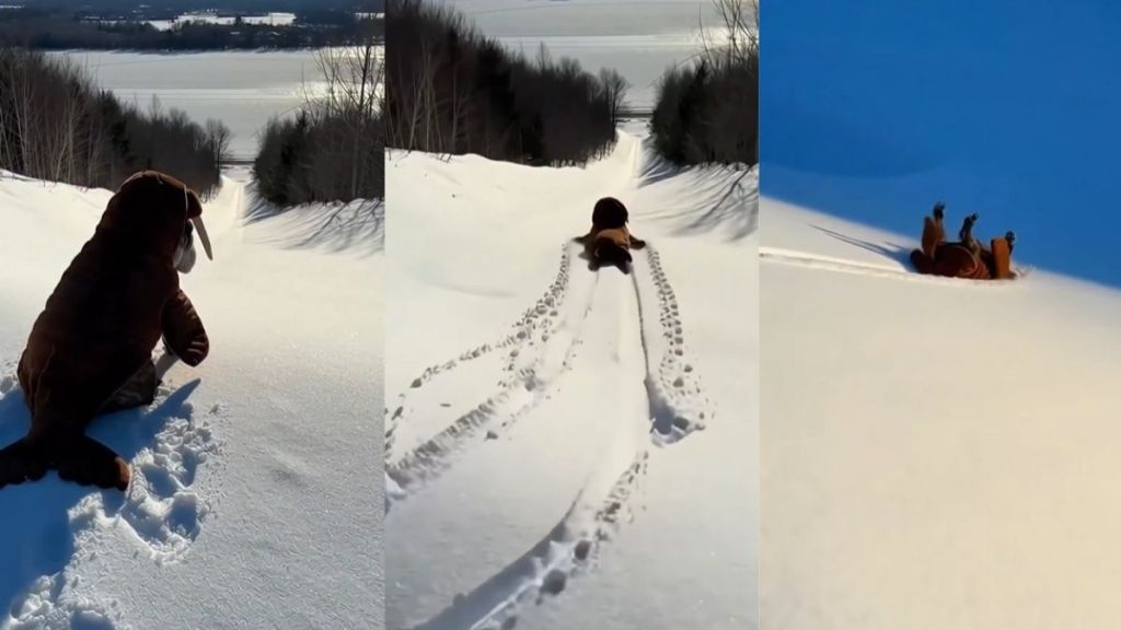 Video: Dog in Costume Repeatedly Slides Down Snowy Slopes