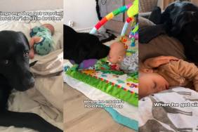 Video: Labrador Takes Big Brother Duties Towards Baby Seriously
