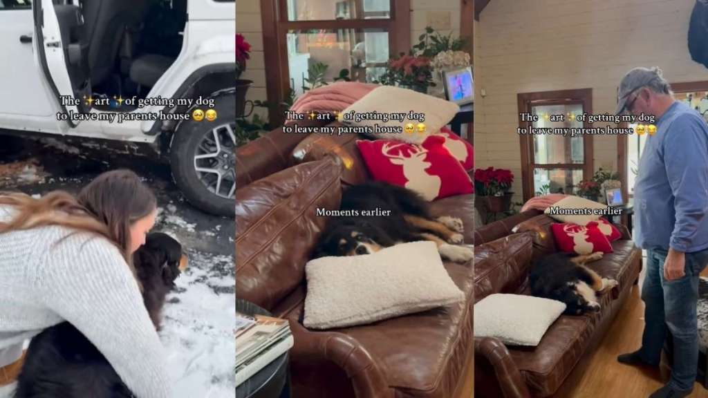 Getting This Dog to Leave the Grandparents' House Is a Multi-Step Process