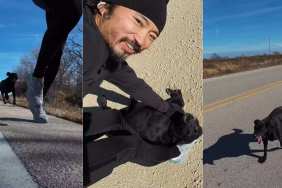 Video of Farm Dog Running Behind a Stranger Ends Adorably