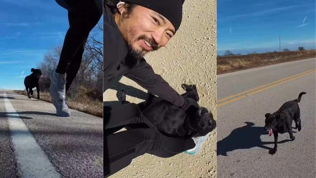 Video of Farm Dog Running Behind a Stranger Ends Adorably