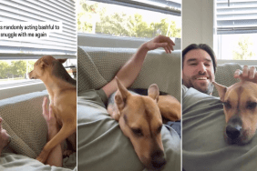 Rescue Dog 'Turns Shy' Just to Snuggle With Dad