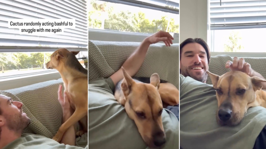 Rescue Dog 'Turns Shy' Just to Snuggle With Dad