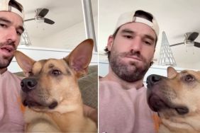 Rescue Puppy Reacts to Owner Pretending to Bite His Ears