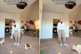 Video Shows Dog Turning up Chaos When Mom Is Already Running Late