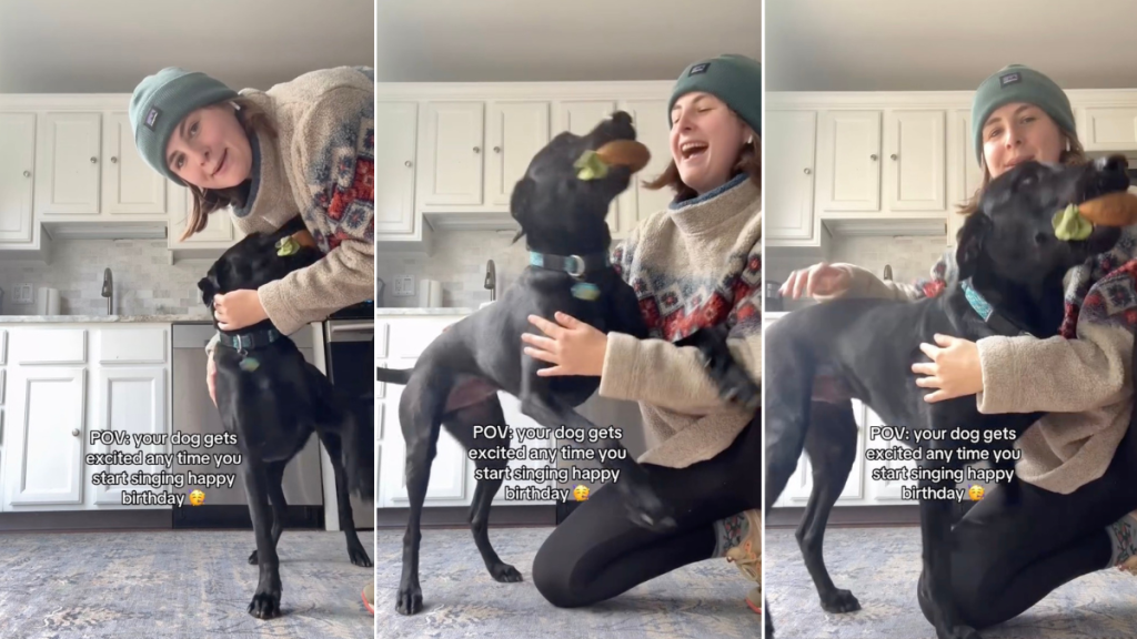 Video: Dog Gets Excited Every Time Owner Sings Happy Birthday