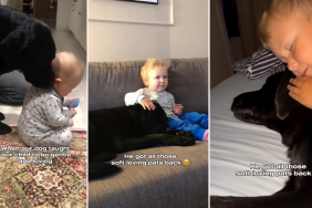 Labrador Teaches Little Boy How To Be Gentle in Wholesome Video