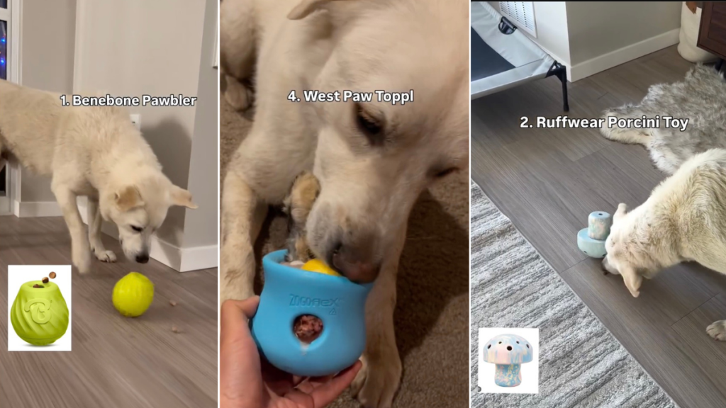 Video: ‘Enrichment Toys’ Pet Parents Can Add to Christmas List