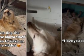 Video: 'Alarm Clock' Dog Is 'Extra Vocal' While Waking Up Babies