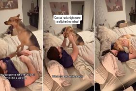 Rescue Dog Has a Nightmare So He Cuddles With Owner in Bed