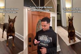 Video Shows What Happens When You Have to Leave Your Dog Behind