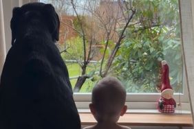 Video: Labrador Now Guards the House, but with Baby Sister