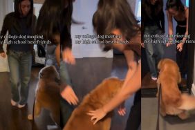 Video: Dog Is Excited Meeting Owner's High School Best Friends