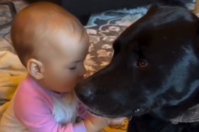 Video: Rescue Dog Has Qualities That Make Him Truly Unique