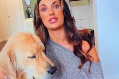 Golden Retriever Falls Asleep in Owner's Arms While She's Talking