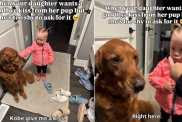 Video: Golden Retriever Makes Little Girl Smile by Fulfilling Her Request
