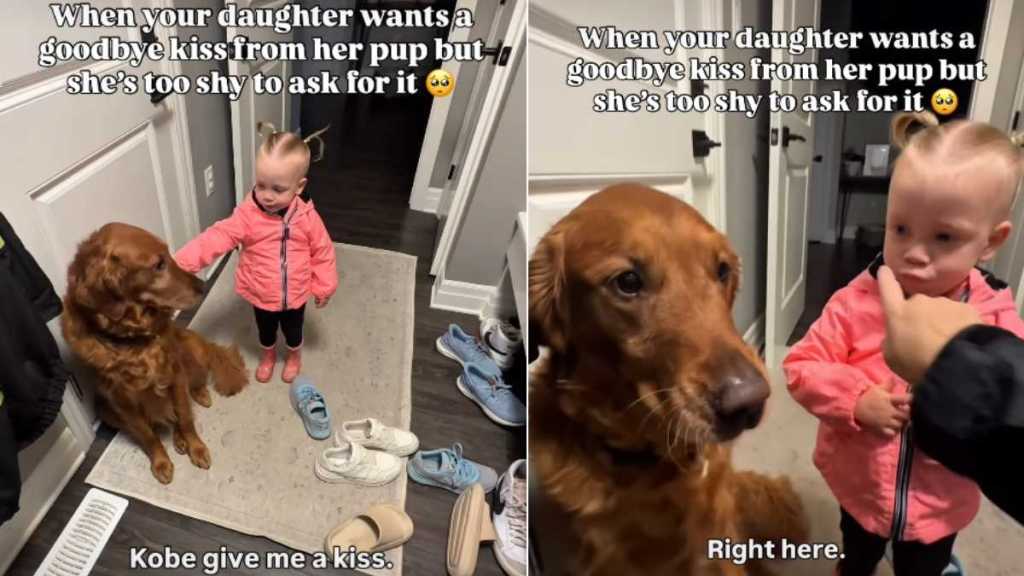 Video: Golden Retriever Makes Little Girl Smile by Fulfilling Her Request