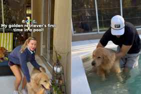 Video: Golden Retriever's First Time in Pool Is a Lot of Emotions