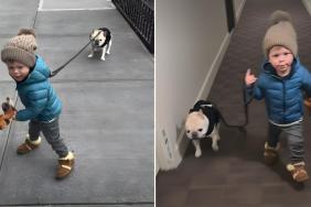 Video of a Dog Being Walked by a Kid Is Everything