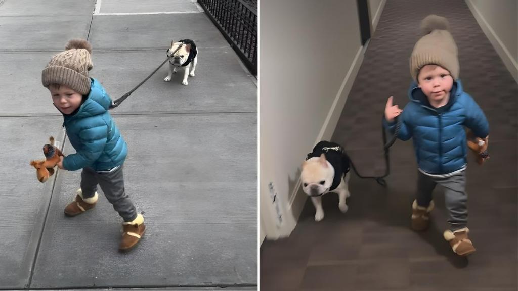 Video of a Dog Being Walked by a Kid Is Everything