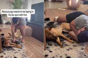 Rescue Pup Reacts When Owner Joins Him at His Favorite Spot