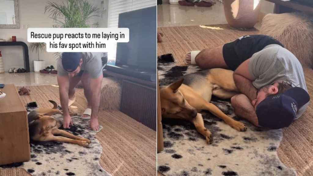 Rescue Pup Reacts When Owner Joins Him at His Favorite Spot