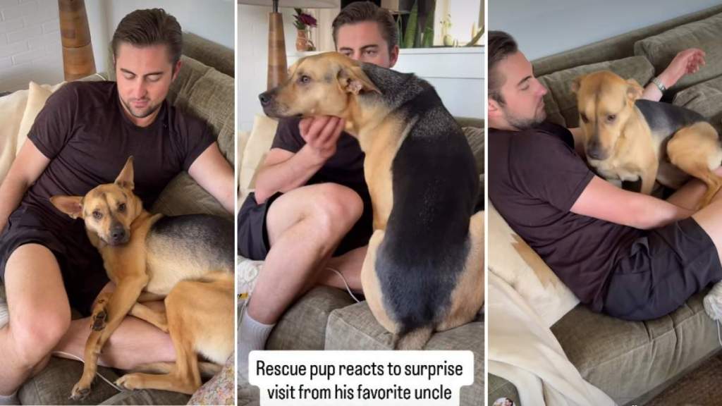 Video of Rescue Pup Meeting Favorite Uncle Ends as Expected