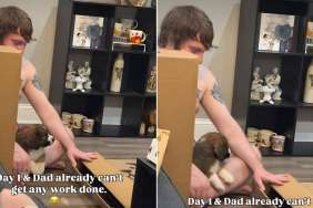 Video: Puppy Does Almost Nothing, Yet Dad Can’t Get Any Work Done