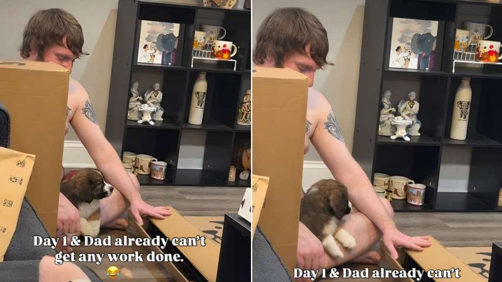 Video: Puppy Does Almost Nothing, Yet Dad Can’t Get Any Work Done