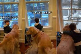 Video: Dog & Toddler Adorably Wait for Grandmom Together