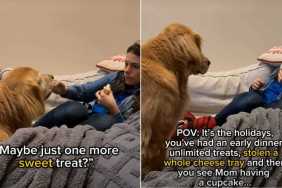 Video: Dog Requests for Extra Snack After Early Dinner & More