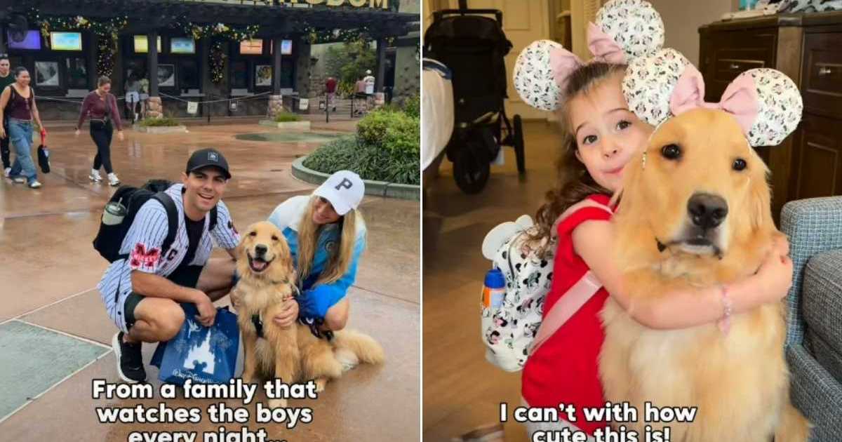 Video: Golden Retriever Makes Little Girl’s Day With Surprise