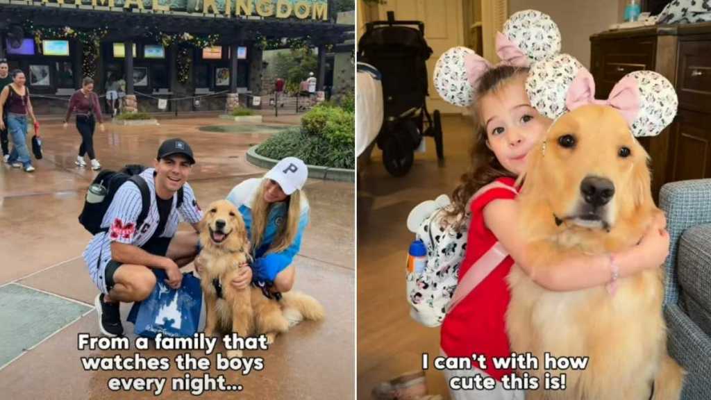 Video: Golden Retriever Makes Little Girl’s Day With Surprise