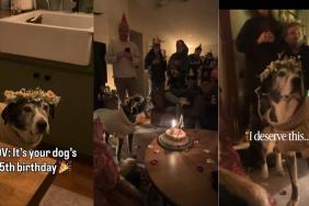 Video From Dog’s 15th Birthday Celebrations Goes Viral