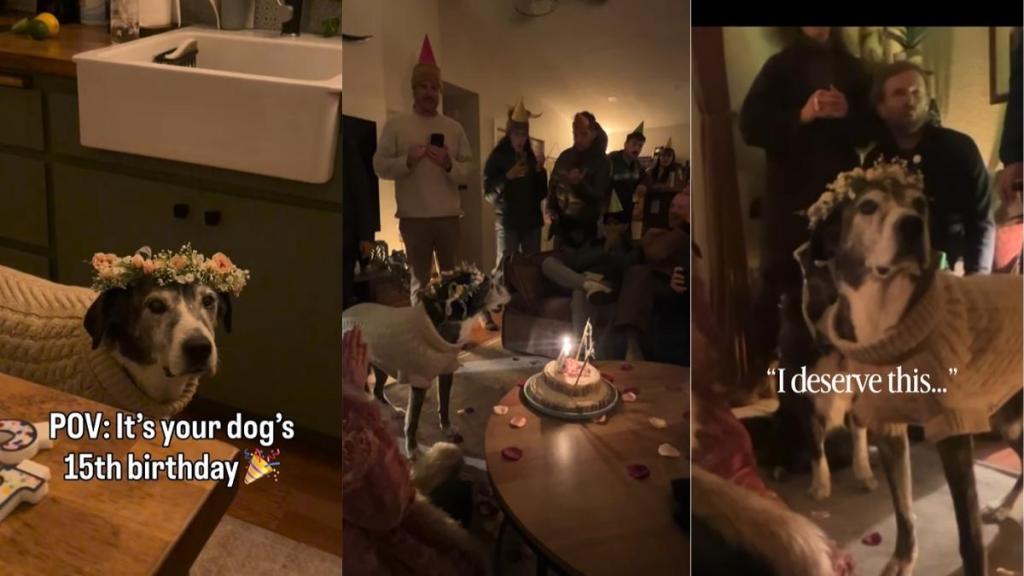 Video From Dog’s 15th Birthday Celebrations Goes Viral