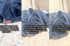 Video: Dog Reveals Hiding Spot During Hide-And-Seek by Doing This