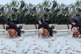Video: Rescue Dog Reacts To Seeing Snow for the First Time
