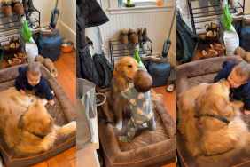 Golden Retriever Won't Stop Kissing Little Boy in Heartwarming Video