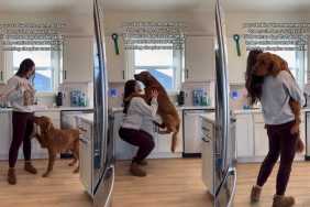 Video: Sleepy ‘Velcro Dog’ Demands Uppies From Mom