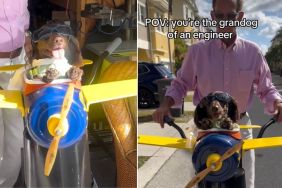 Video: Grandpa Makes a Tiny Airplane Bike Seat for His Dog, and It’s Pure Joy